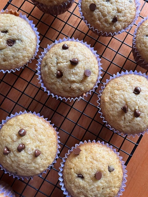 Chocolate chip cupcakes